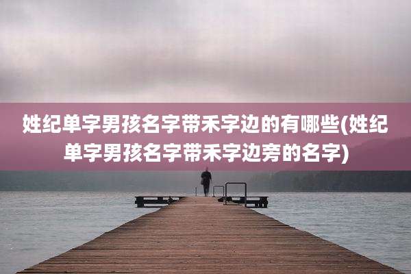 姓纪单字男孩名字带禾字边的有哪些(姓纪单字男孩名字带禾字边旁的名字)