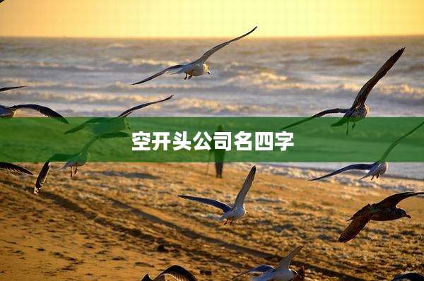 空开头公司名四字