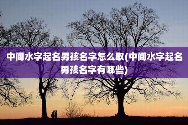 中间水字起名男孩名字怎么取(中间水字起名男孩名字有哪些)