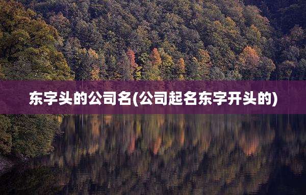 东字头的公司名(公司起名东字开头的)
