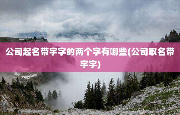 公司起名带宇字的两个字有哪些(公司取名带宇字)