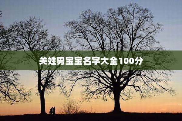 关姓男宝宝名字大全100分