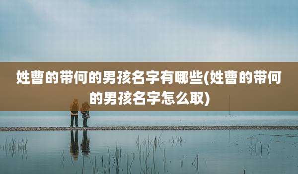 姓曹的带何的男孩名字有哪些(姓曹的带何的男孩名字怎么取)