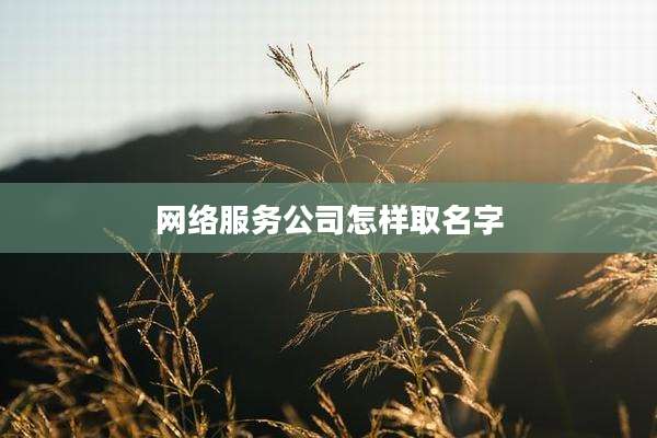 网络服务公司怎样取名字