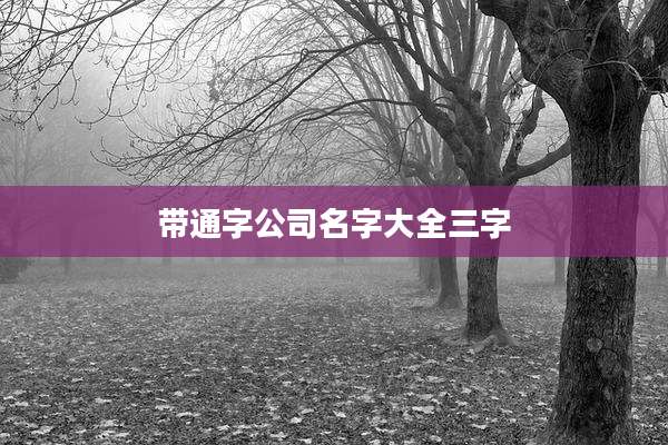 带通字公司名字大全三字