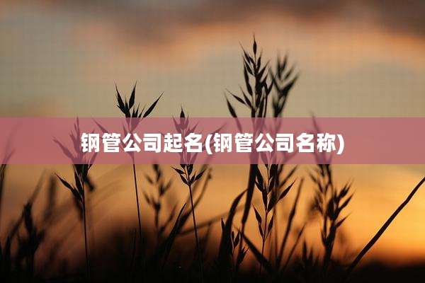 钢管公司起名(钢管公司名称)