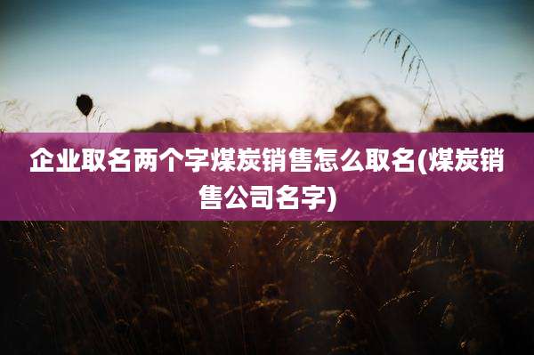 企业取名两个字煤炭销售怎么取名(煤炭销售公司名字)