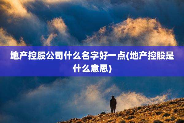 地产控股公司什么名字好一点(地产控股是什么意思)