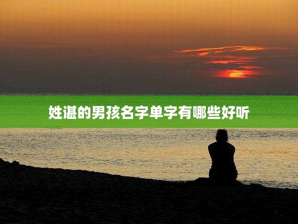 姓谌的男孩名字单字有哪些好听