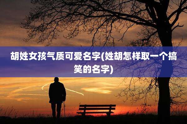 胡姓女孩气质可爱名字(姓胡怎样取一个搞笑的名字)
