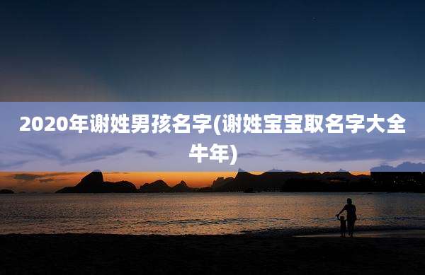 2020年谢姓男孩名字(谢姓宝宝取名字大全牛年)