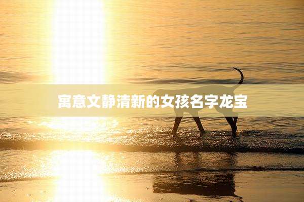 寓意文静清新的女孩名字龙宝