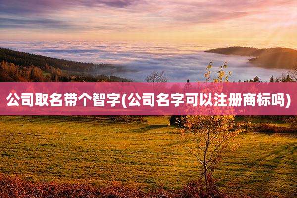 公司取名带个智字(公司名字可以注册商标吗)