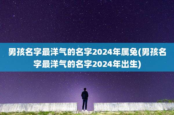 男孩名字最洋气的名字2024年属兔(男孩名字最洋气的名字2024年出生)