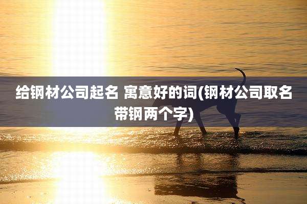 给钢材公司起名 寓意好的词(钢材公司取名带钢两个字)