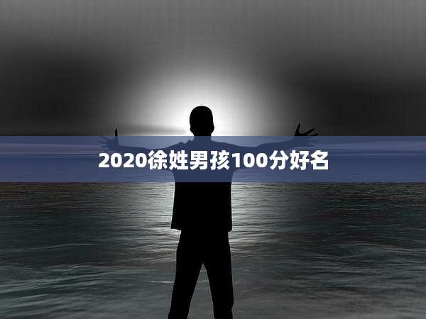 2020徐姓男孩100分好名