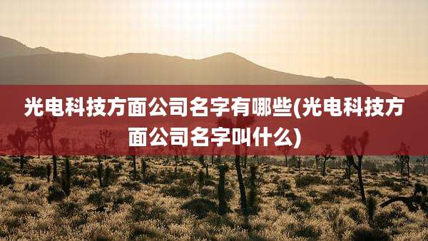 光电科技方面公司名字有哪些(光电科技方面公司名字叫什么)