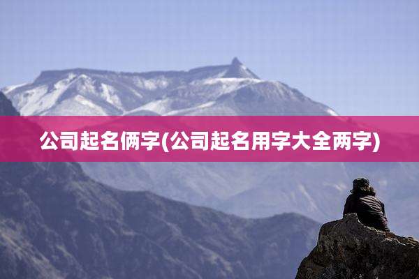 公司起名俩字(公司起名用字大全两字)