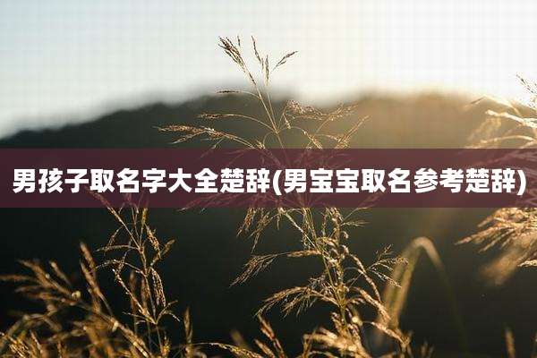 男孩子取名字大全楚辞(男宝宝取名参考楚辞)
