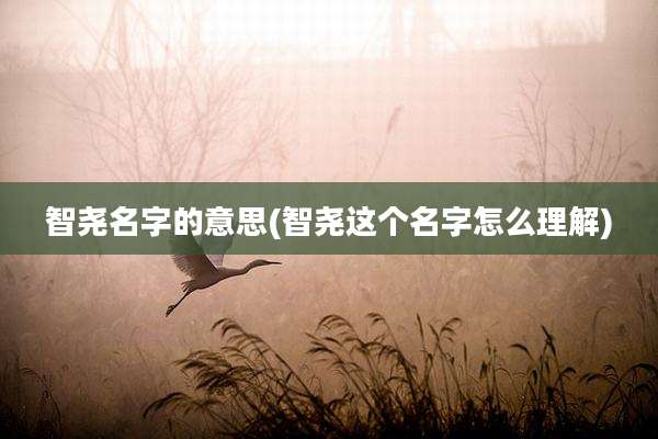 智尧名字的意思(智尧这个名字怎么理解)