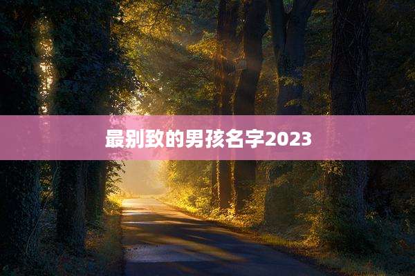 最别致的男孩名字2023