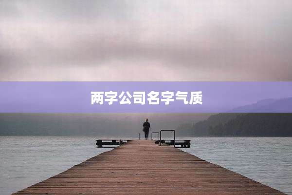 两字公司名字气质