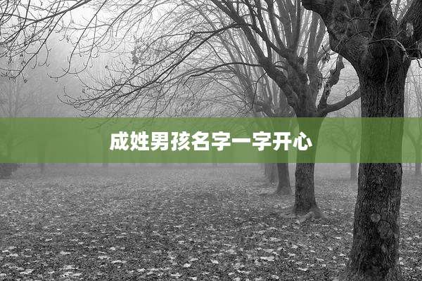 成姓男孩名字一字开心