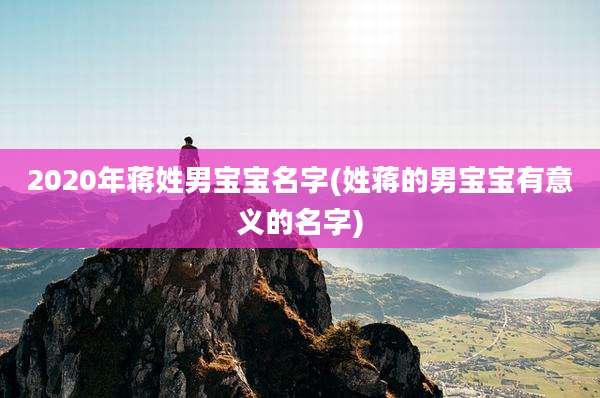2020年蒋姓男宝宝名字(姓蒋的男宝宝有意义的名字)