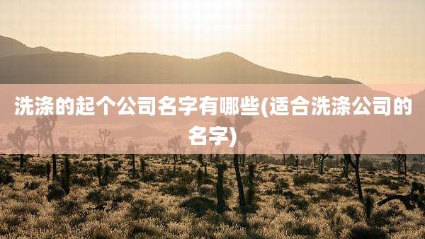 洗涤的起个公司名字有哪些(适合洗涤公司的名字)