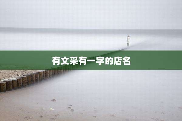 有文采有一字的店名