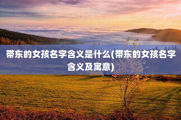 带东的女孩名字含义是什么(带东的女孩名字含义及寓意)