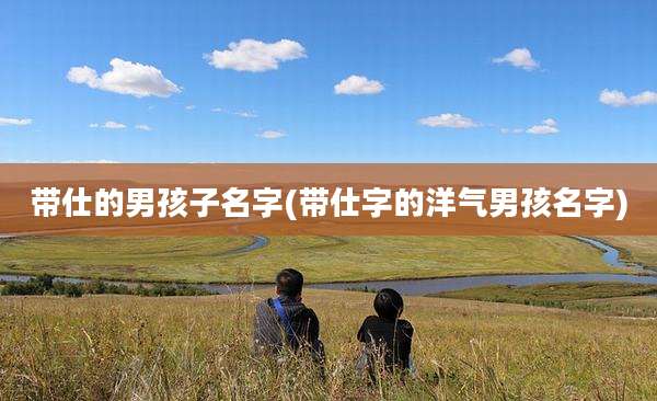 带仕的男孩子名字(带仕字的洋气男孩名字)