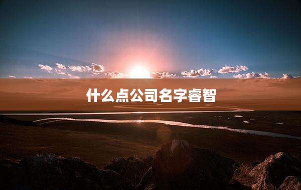 什么点公司名字睿智