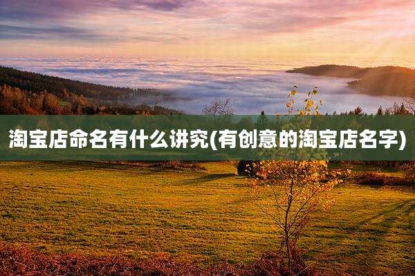淘宝店命名有什么讲究(有创意的淘宝店名字)