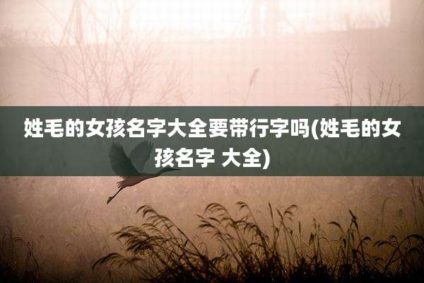 姓毛的女孩名字大全要带行字吗(姓毛的女孩名字 大全)