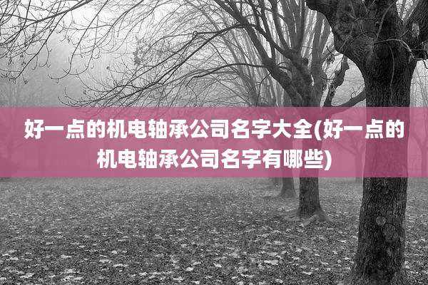 好一点的机电轴承公司名字大全(好一点的机电轴承公司名字有哪些)