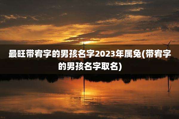 最旺带宥字的男孩名字2023年属兔(带宥字的男孩名字取名)