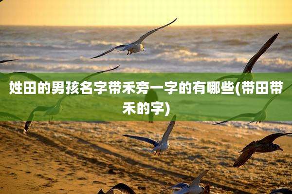 姓田的男孩名字带禾旁一字的有哪些(带田带禾的字)