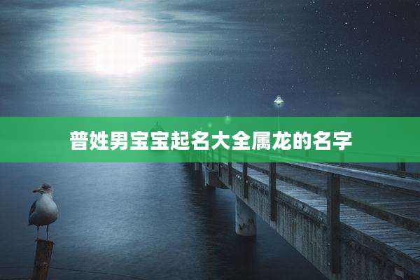 普姓男宝宝起名大全属龙的名字