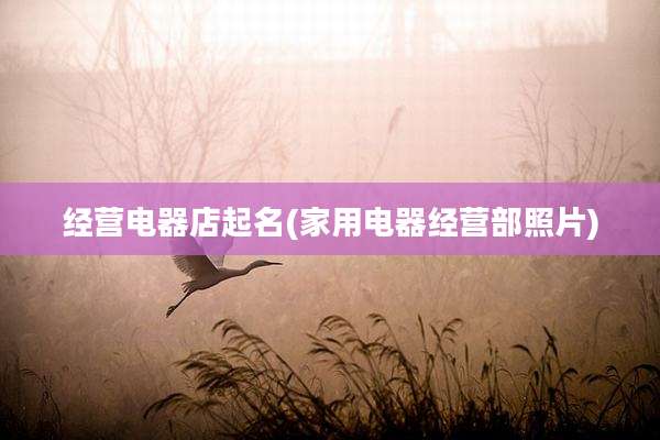经营电器店起名(家用电器经营部照片)