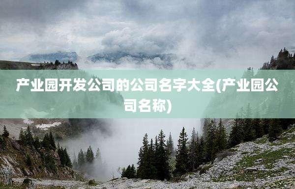产业园开发公司的公司名字大全(产业园公司名称)