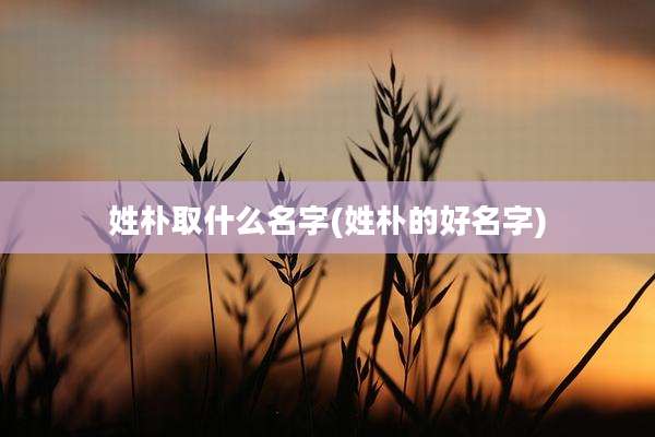 姓朴取什么名字(姓朴的好名字)