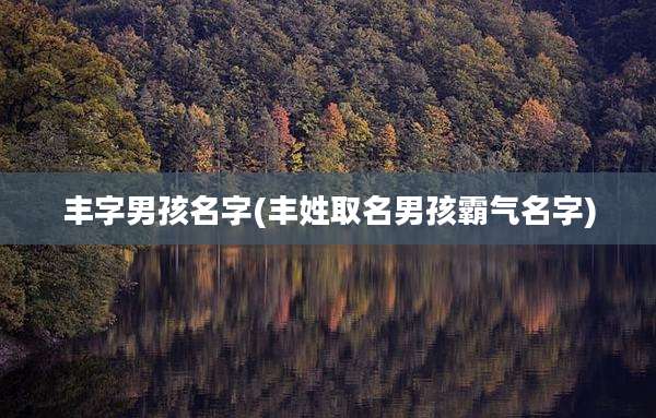丰字男孩名字(丰姓取名男孩霸气名字)
