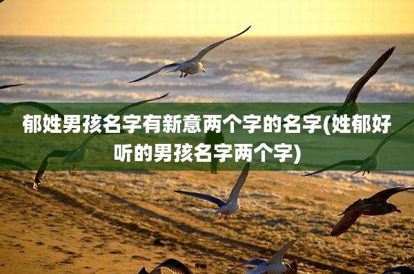 郁姓男孩名字有新意两个字的名字(姓郁好听的男孩名字两个字)