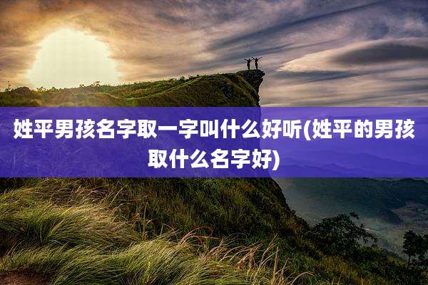 姓平男孩名字取一字叫什么好听(姓平的男孩取什么名字好)