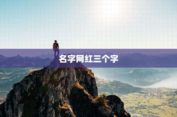 名字网红三个字