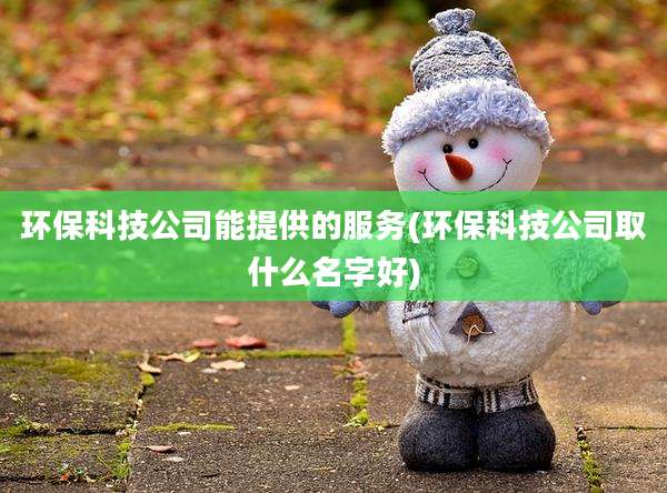 环保科技公司能提供的服务(环保科技公司取什么名字好)