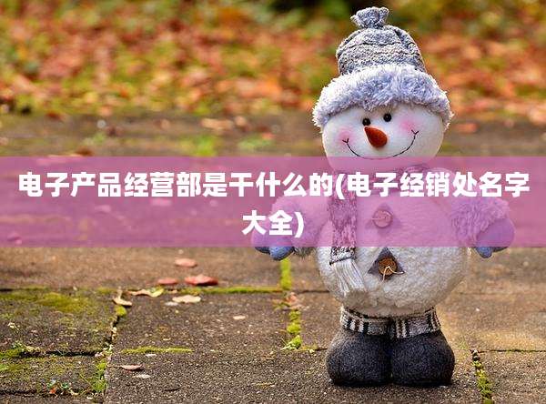 电子产品经营部是干什么的(电子经销处名字大全)
