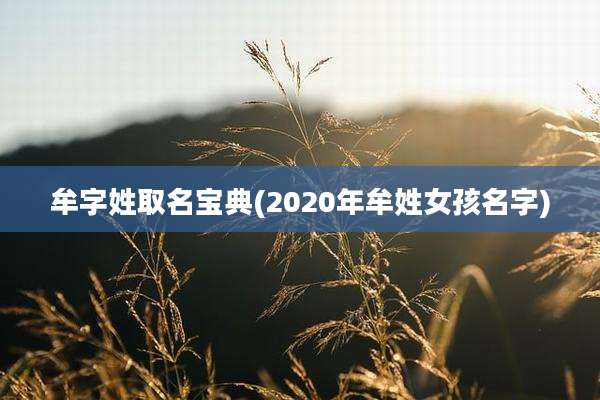 牟字姓取名宝典(2020年牟姓女孩名字)