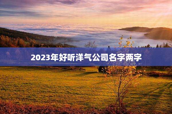 2023年好听洋气公司名字两字